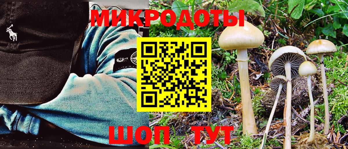 Иркутск  Галлюциногенные грибы Magic Shrooms  Вход с VPN 