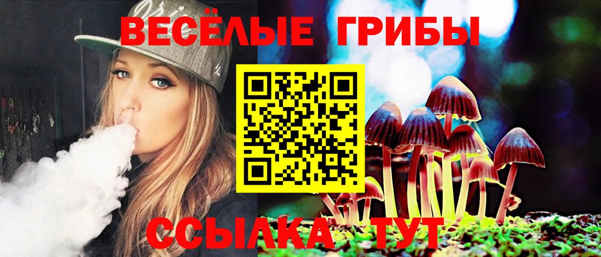 Галлюциногенные грибы GOLDEN TEACHER Иркутск